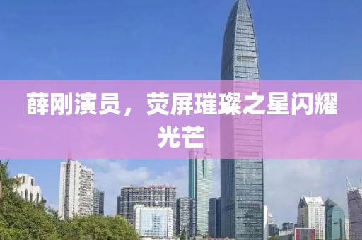 薛刚演员，荧屏璀璨之星闪耀光芒