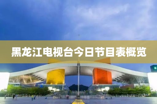 黑龙江电视台今日节目表概览