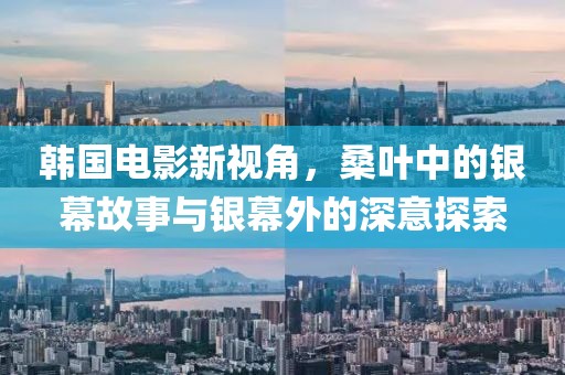 韩国电影新视角，桑叶中的银幕故事与银幕外的深意探索