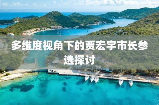 多维度视角下的贾宏宇市长参选探讨