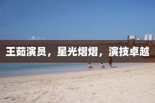 王茹演员，星光熠熠，演技卓越
