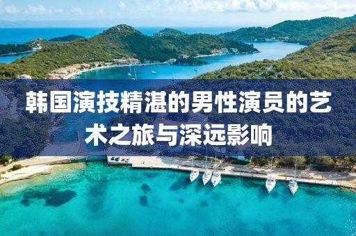 韩国演技精湛的男性演员的艺术之旅与深远影响