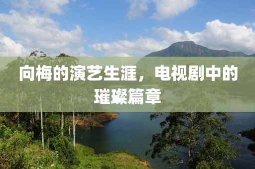 向梅的演艺生涯，电视剧中的璀璨篇章