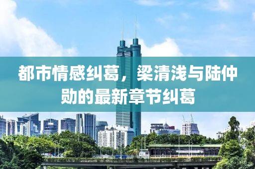都市情感纠葛，梁清浅与陆仲勋的最新章节纠葛