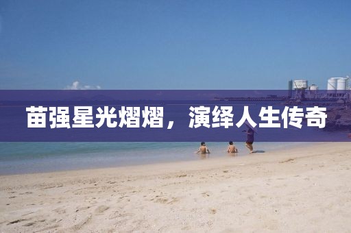 苗强星光熠熠，演绎人生传奇