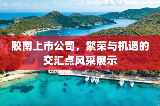 胶南上市公司，繁荣与机遇的交汇点风采展示