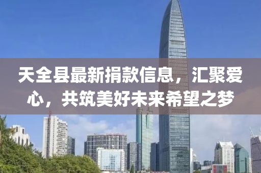 天全县最新捐款信息，汇聚爱心，共筑美好未来希望之梦