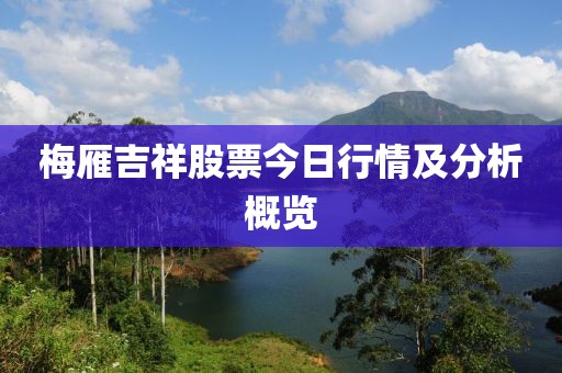 梅雁吉祥股票今日行情及分析概览