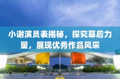 小谢演员表揭秘，探究幕后力量，展现优秀作品风采