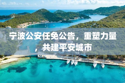 宁波公安任免公告，重塑力量，共建平安城市