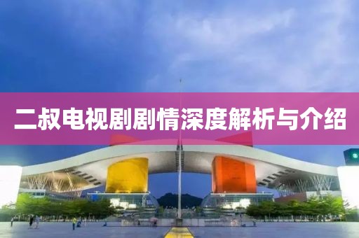 二叔电视剧剧情深度解析与介绍