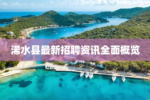 浠水县最新招聘资讯全面概览
