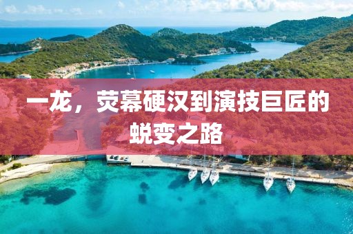 一龙，荧幕硬汉到演技巨匠的蜕变之路