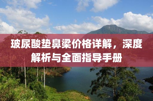 玻尿酸垫鼻梁价格详解，深度解析与全面指导手册
