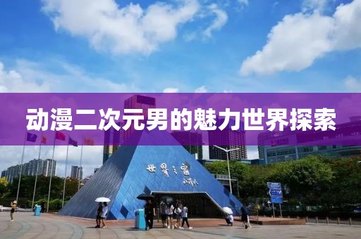 动漫二次元男的魅力世界探索