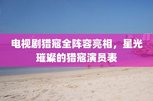 电视剧猎寇全阵容亮相，星光璀璨的猎寇演员表