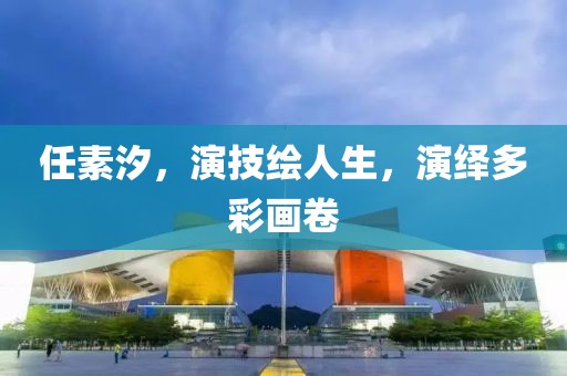 任素汐，演技绘人生，演绎多彩画卷