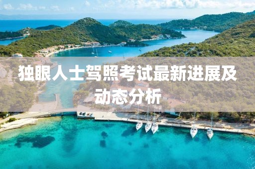 独眼人士驾照考试最新进展及动态分析