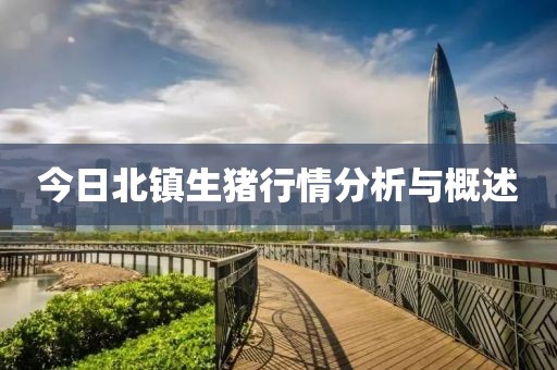 今日北镇生猪行情分析与概述
