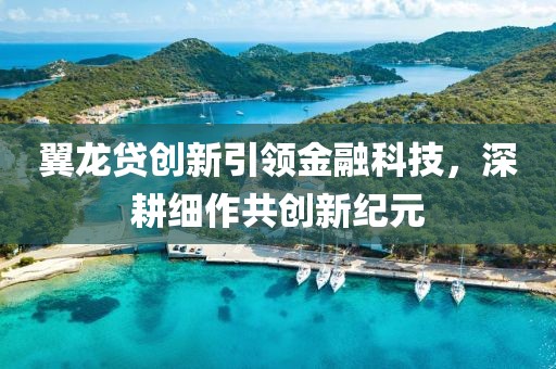 翼龙贷创新引领金融科技，深耕细作共创新纪元
