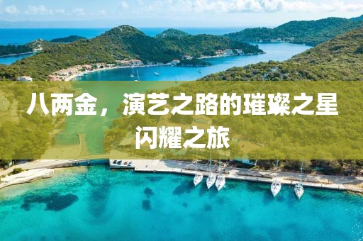 八两金，演艺之路的璀璨之星闪耀之旅