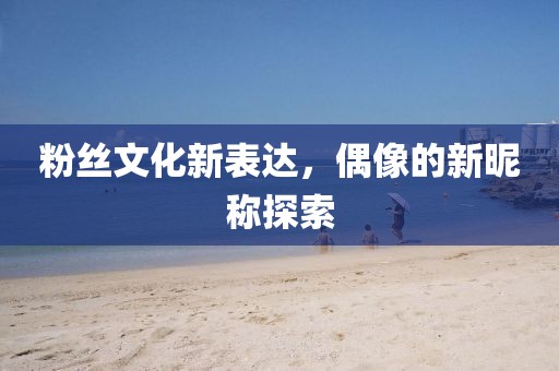粉丝文化新表达，偶像的新昵称探索
