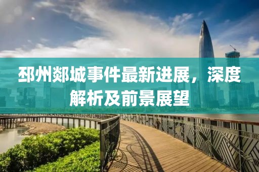 邳州郯城事件最新进展，深度解析及前景展望