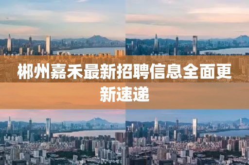 郴州嘉禾最新招聘信息全面更新速递