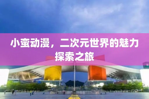 小蛮动漫，二次元世界的魅力探索之旅