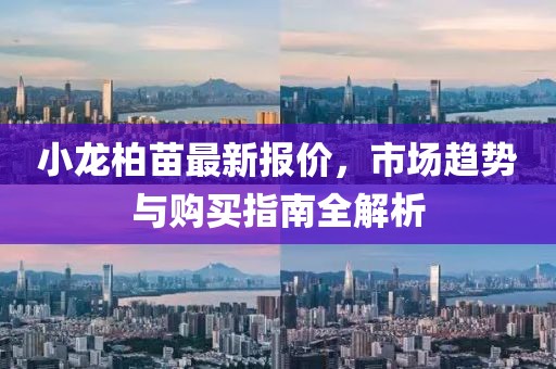 小龙柏苗最新报价，市场趋势与购买指南全解析
