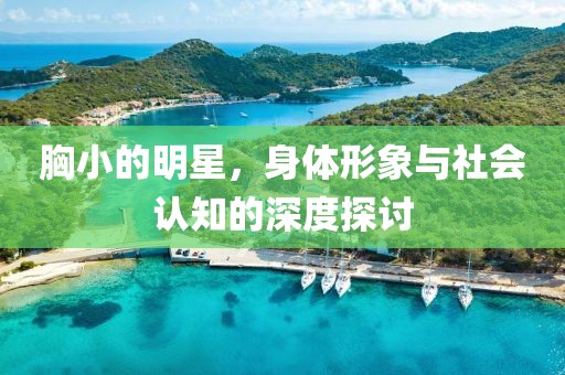 胸小的明星，身体形象与社会认知的深度探讨