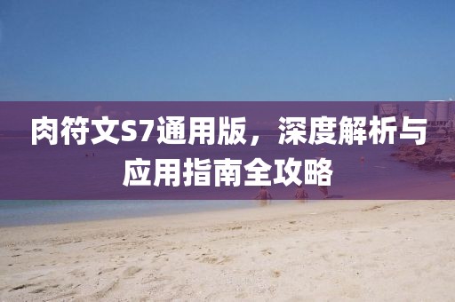 肉符文S7通用版，深度解析与应用指南全攻略