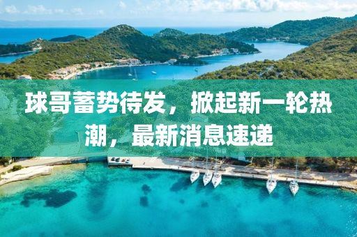 球哥蓄势待发，掀起新一轮热潮，最新消息速递
