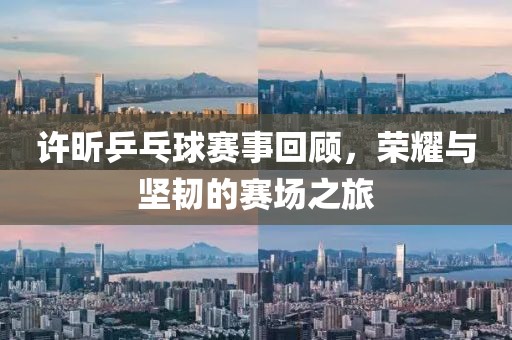 许昕乒乓球赛事回顾，荣耀与坚韧的赛场之旅