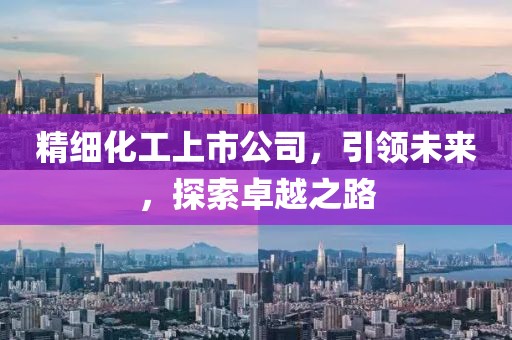 精细化工上市公司，引领未来，探索卓越之路