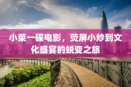 小菜一碟电影，荧屏小炒到文化盛宴的蜕变之旅
