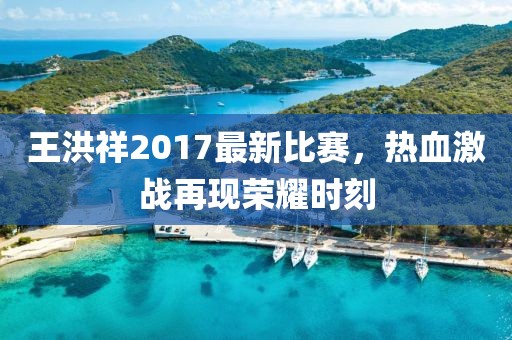 王洪祥2017最新比赛，热血激战再现荣耀时刻