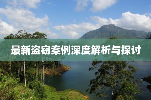 最新盗窃案例深度解析与探讨