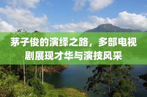 茅子俊的演绎之路，多部电视剧展现才华与演技风采
