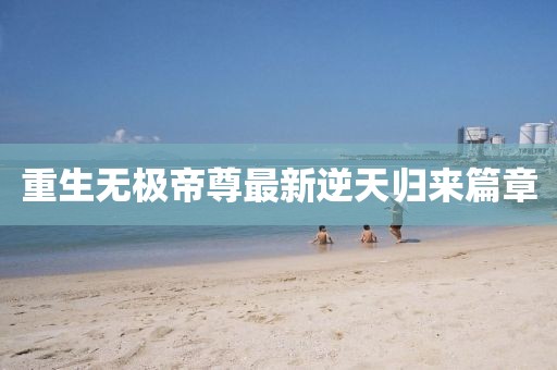 重生无极帝尊最新逆天归来篇章