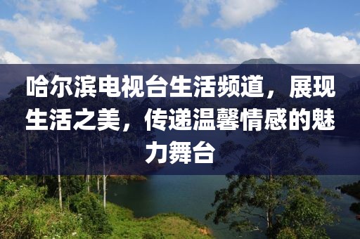 哈尔滨电视台生活频道，展现生活之美，传递温馨情感的魅力舞台