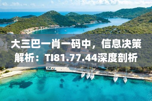 大三巴一肖一码中，信息决策解析：TI81.77.44深度剖析