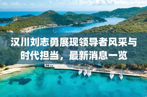 汉川刘志勇展现领导者风采与时代担当，最新消息一览