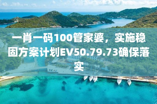 一肖一码100管家婆，实施稳固方案计划EV50.79.73确保落实