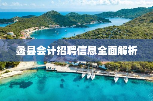 蠡县会计招聘信息全面解析