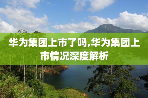 华为集团上市了吗,华为集团上市情况深度解析