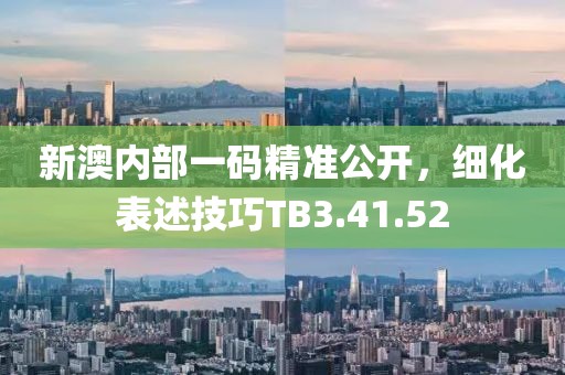 新澳内部一码精准公开，细化表述技巧TB3.41.52