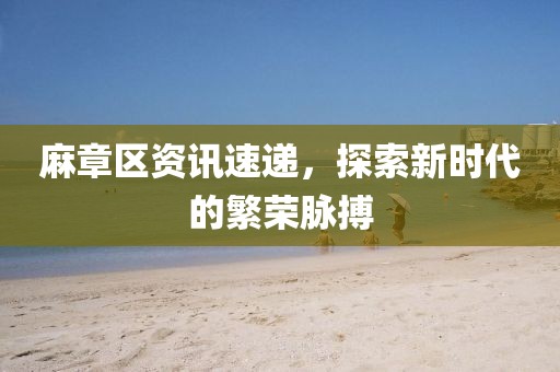 麻章区资讯速递，探索新时代的繁荣脉搏