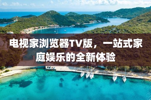 电视家浏览器TV版，一站式家庭娱乐的全新体验