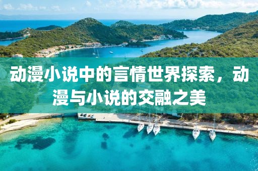 动漫小说中的言情世界探索，动漫与小说的交融之美